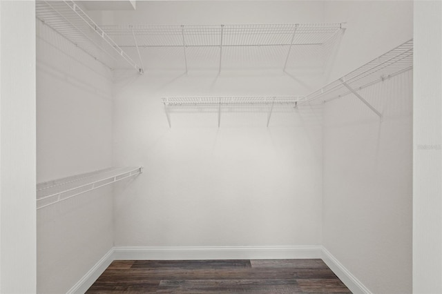 spacious closet featuring dark wood-style floors