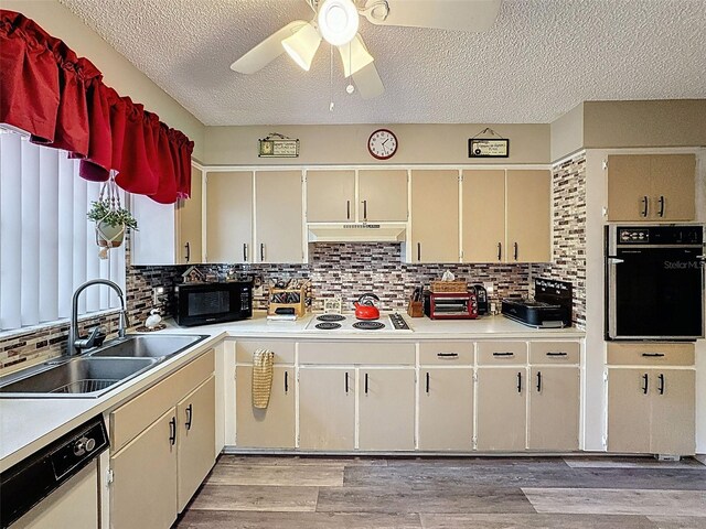 6213 Emerson Dr, New Port Richey, FL 34653 - kitchen featuring white appliances, a sink, under cabinet range hood, ceiling fan, and light countertops