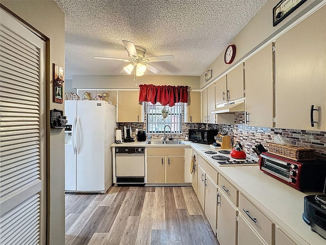 6213 Emerson Dr, New Port Richey, FL 34653 - photo 20