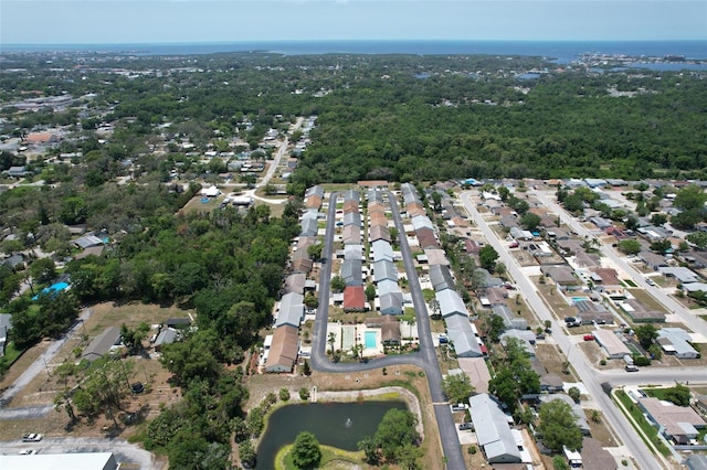 6213 Emerson Dr, New Port Richey, FL 34653 - photo 48
