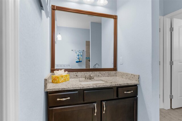 bathroom with vanity and wood finished floors