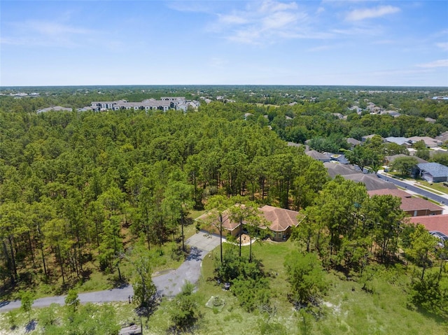 bird's eye view of a forest