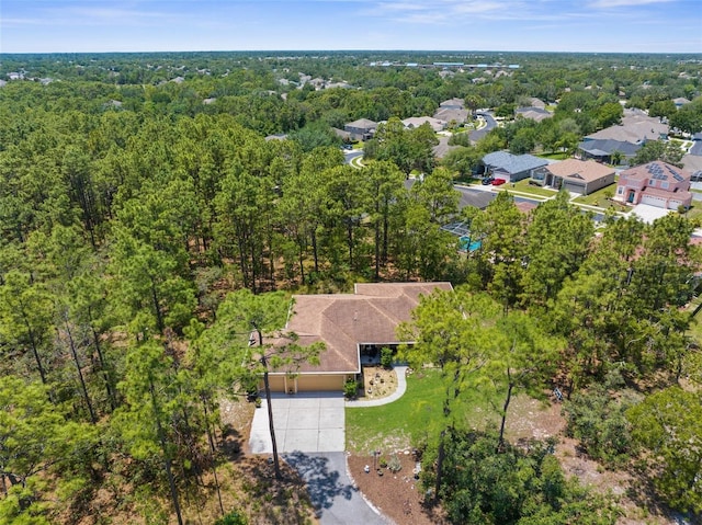bird's eye view of a forest