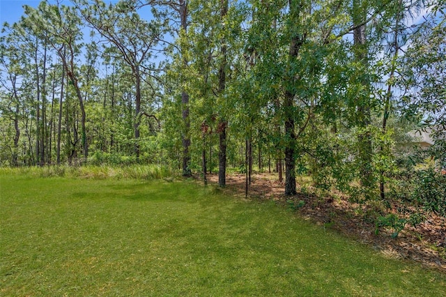 view of grassy yard