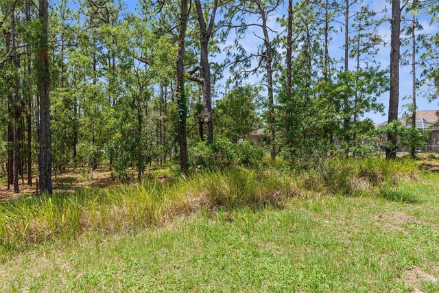 view of undeveloped land
