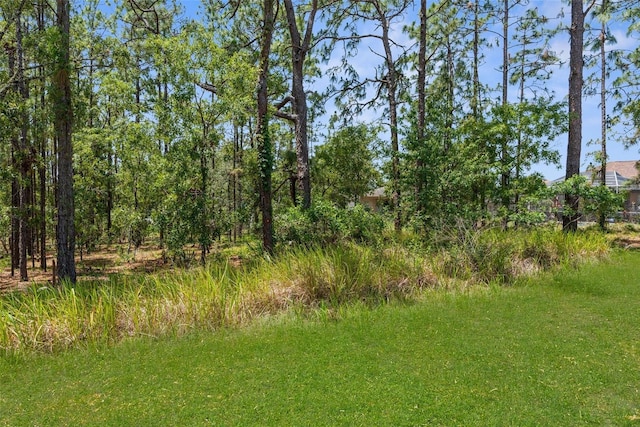 view of undeveloped land