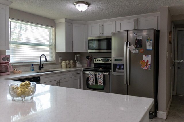9116 Gray Fox Ln, Port Richey, FL 34668 - photo 8