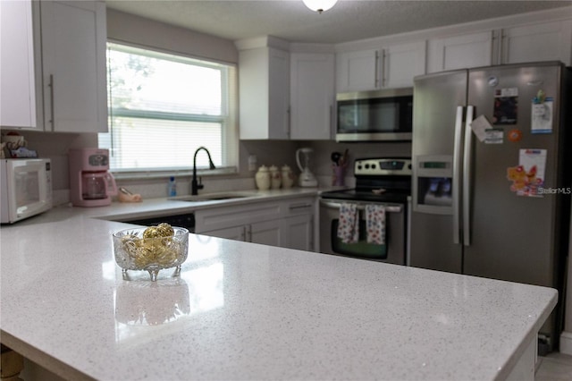 9116 Gray Fox Ln, Port Richey, FL 34668 - photo 10