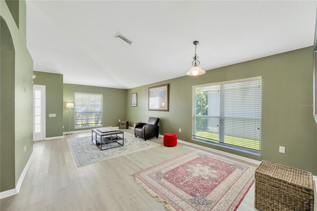 1009 Summer Breeze Dr, Brandon, FL 33511 - living room with wood finished floors, lofted ceiling, healthy amount of natural light, and baseboards