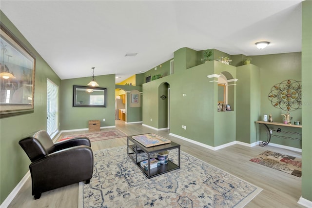 1009 Summer Breeze Dr, Brandon, FL 33511 - living room with vaulted ceiling, wood finished floors, arched walkways, and baseboards