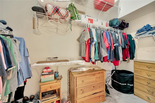 1009 Summer Breeze Dr, Brandon, FL 33511 - view of spacious closet