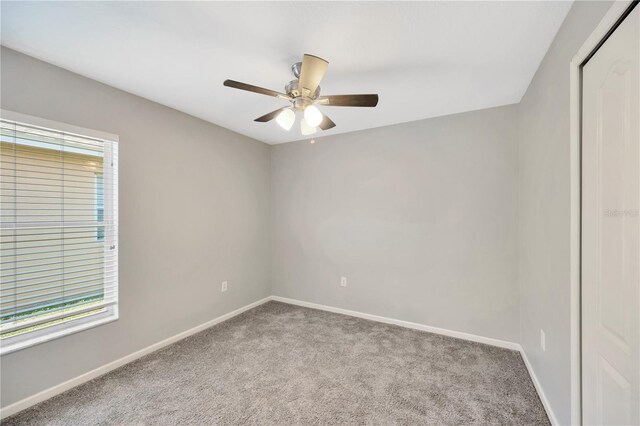 1009 Summer Breeze Dr, Brandon, FL 33511 - carpeted empty room with plenty of natural light, ceiling fan, and baseboards