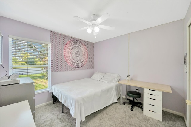 1009 Summer Breeze Dr, Brandon, FL 33511 - bedroom with multiple windows, carpet, and baseboards