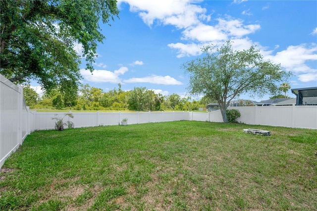 1009 Summer Breeze Dr, Brandon, FL 33511 - view of yard