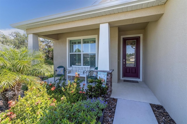 11308 Mollymawk Ct, New Port Richey, FL 34654 - entrance to property featuring covered porch and stucco siding