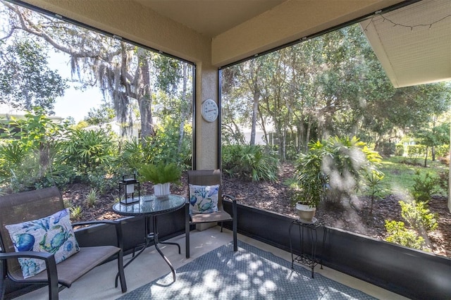 11308 Mollymawk Ct, New Port Richey, FL 34654 - view of sunroom / solarium