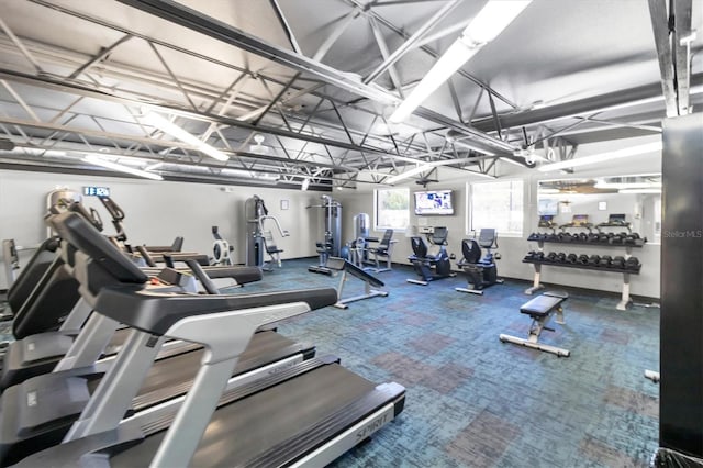 11308 Mollymawk Ct, New Port Richey, FL 34654 - exercise room with carpet flooring