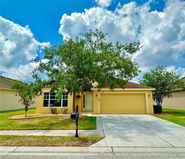 11055 Belle Haven Dr, New Port Richey, FL 34654 - photo 1