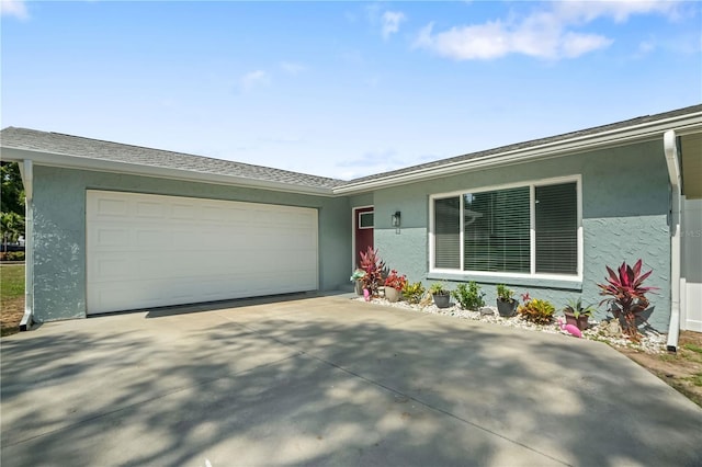 1004 Peninsula Ave, Tarpon Springs, FL 34689 - photo 3