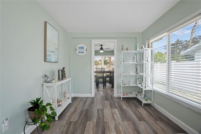 1004 Peninsula Ave, Tarpon Springs, FL 34689 - photo 6