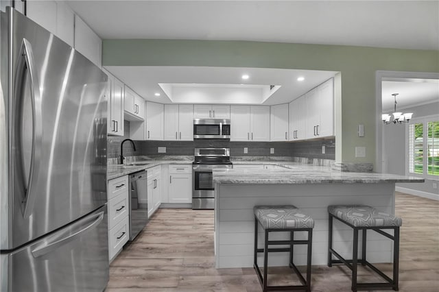 2866 Thistle Ct N, Palm Harbor, FL 34684 - kitchen featuring appliances with stainless steel finishes, a sink, a tray ceiling, a peninsula, and a breakfast bar area
