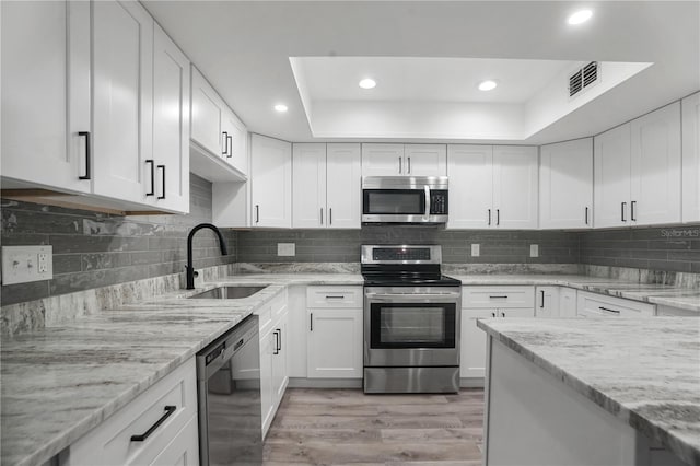 2866 Thistle Ct N, Palm Harbor, FL 34684 - kitchen featuring appliances with stainless steel finishes, a tray ceiling, a sink, light wood finished floors, and white cabinets