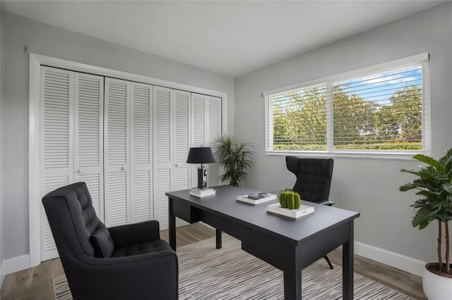 2866 Thistle Ct N, Palm Harbor, FL 34684 - office with baseboards and wood finished floors