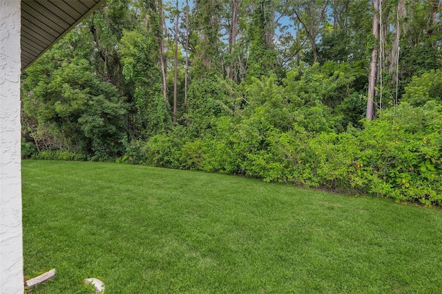 4424 Whitetail Ln, New Port Richey, FL 34653 - view of grassy yard
