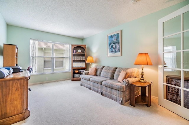 1407 Hickory Moss Pl, Trinity, FL 34655 - living area featuring carpet flooring and a textured ceiling