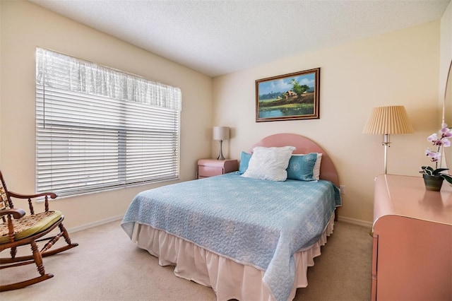 1407 Hickory Moss Pl, Trinity, FL 34655 - bedroom with light colored carpet, baseboards, and a textured ceiling