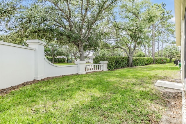 1407 Hickory Moss Pl, Trinity, FL 34655 - view of yard