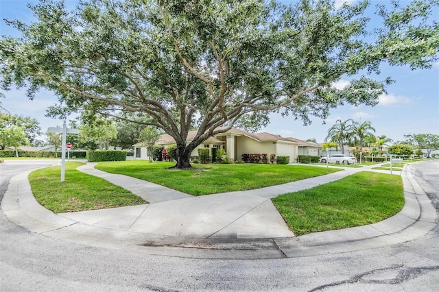 1407 Hickory Moss Pl, Trinity, FL 34655 - view of front of house featuring a front lawn, stucco siding, a garage, and a residential view