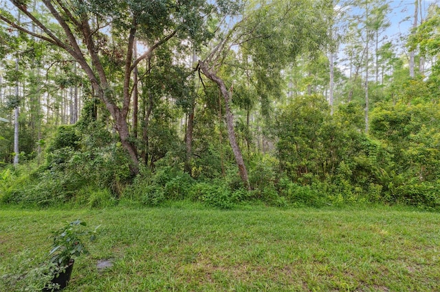 1108 Blackwater Dr, Wesley Chapel, FL 33543 - view of yard with a wooded view