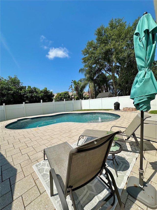 9808 Riverchase Dr, New Port Richey, FL 34655 - view of pool featuring a patio area and a fenced backyard