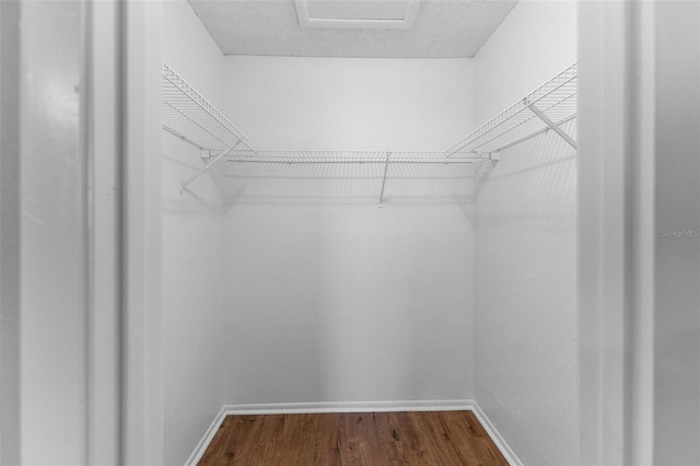 spacious closet with dark wood-style floors