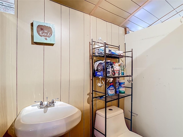 bathroom featuring a sink and toilet