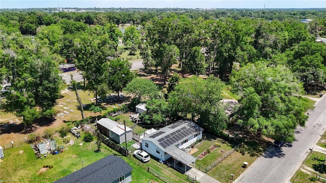 bird's eye view of a forest
