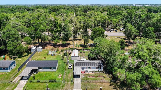 bird's eye view of a forest