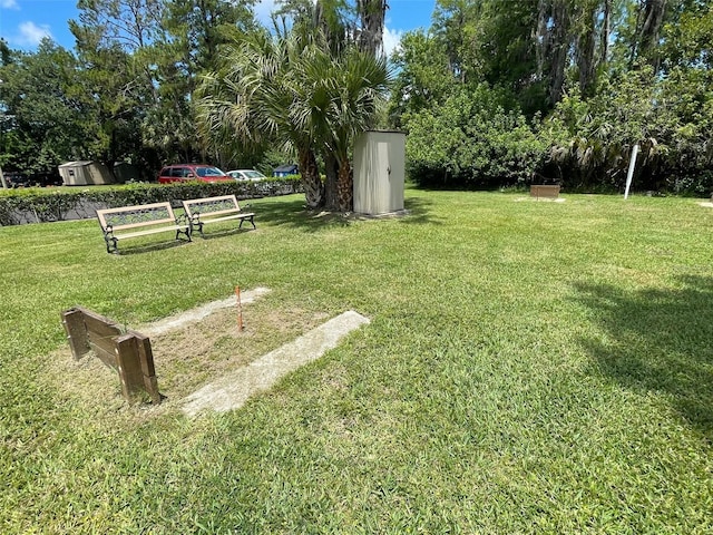 11619 Boynton Ln, New Port Richey, FL 34654 - view of grassy yard