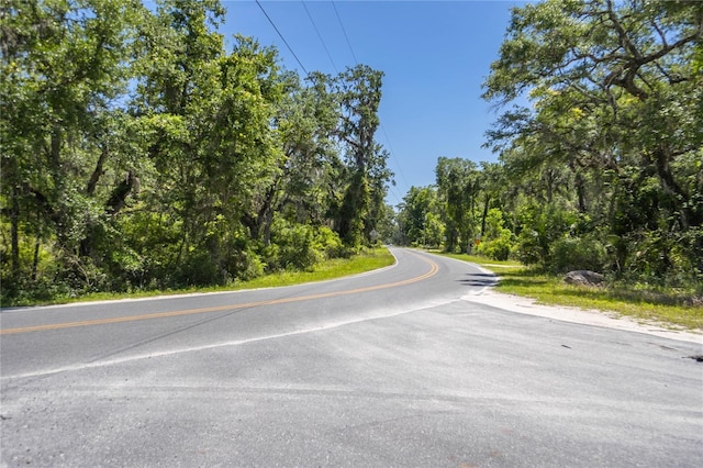 105 NE 239th Ave, Old Town, FL 32680 - photo 3
