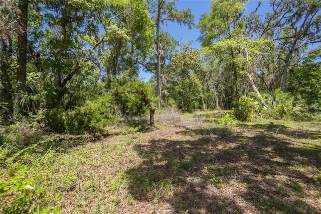 105 NE 239th Ave, Old Town, FL 32680 - photo 4