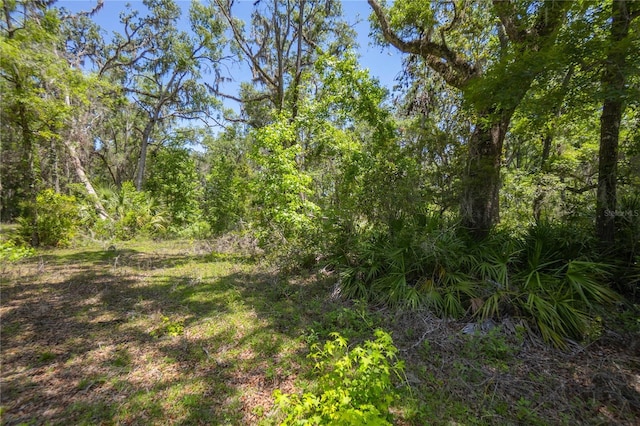 105 NE 239th Ave, Old Town, FL 32680 - photo 5