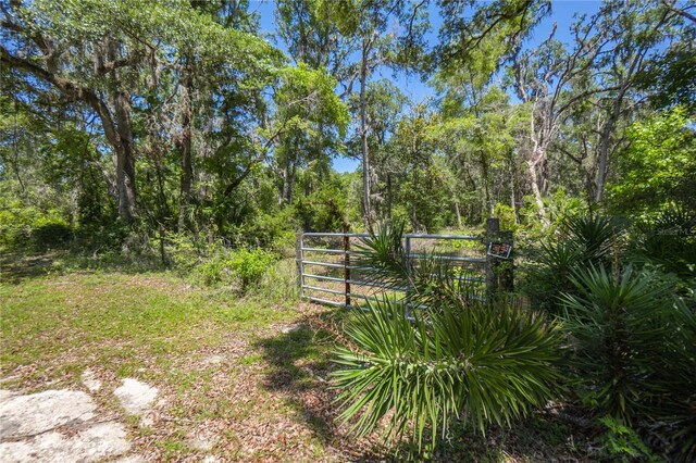 105 NE 239th Ave, Old Town, FL 32680 - photo 6