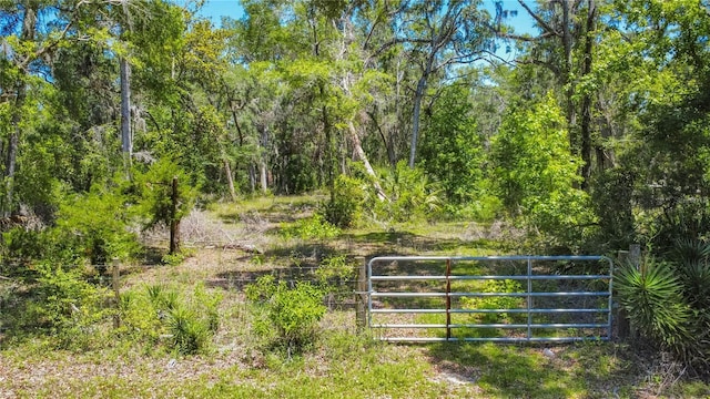 105 NE 239th Ave, Old Town, FL 32680 - photo 7