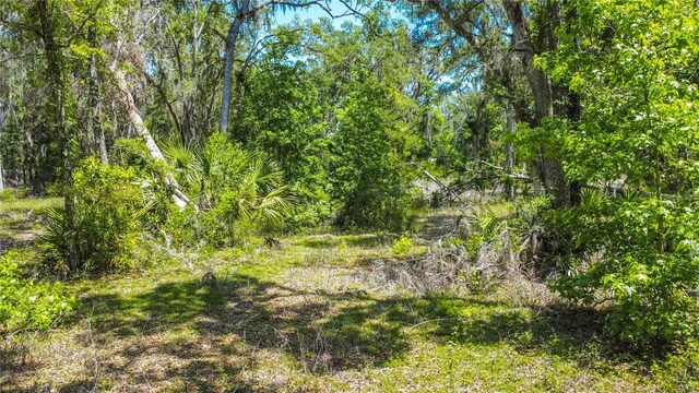 105 NE 239th Ave, Old Town, FL 32680 - photo 8