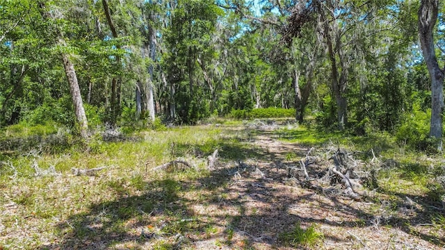 105 NE 239th Ave, Old Town, FL 32680 - photo 9