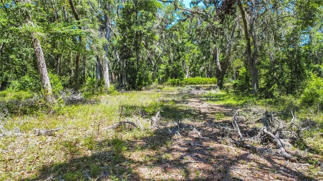 105 NE 239th Ave, Old Town, FL 32680 - photo 10