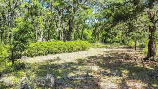 105 NE 239th Ave, Old Town, FL 32680 - photo 11