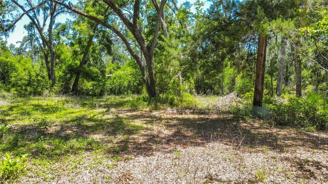 105 NE 239th Ave, Old Town, FL 32680 - photo 12
