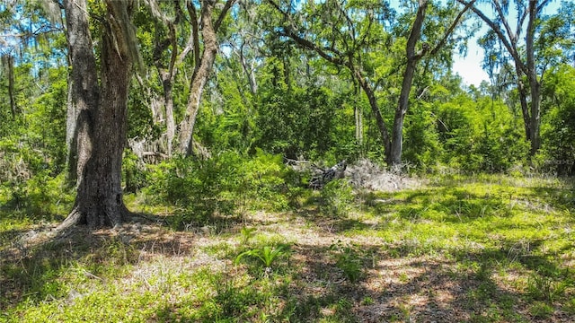 105 NE 239th Ave, Old Town, FL 32680 - photo 13